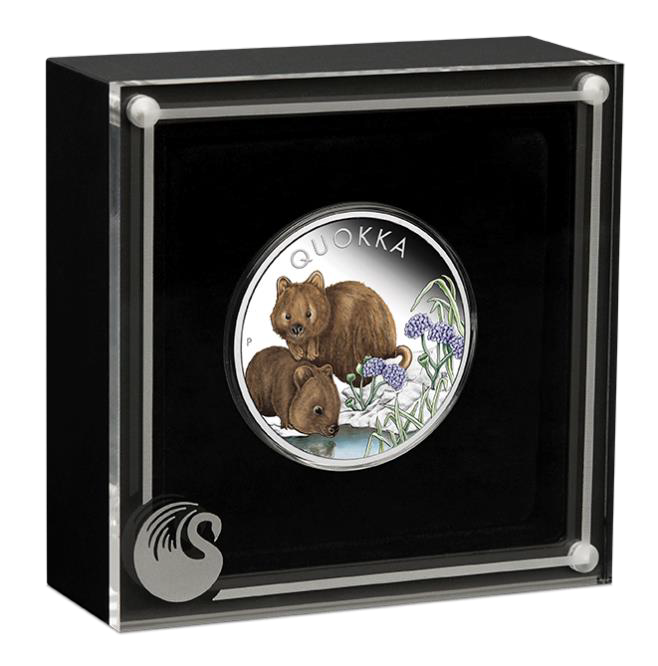 2023 $1 Australian Quokka 1oz Silver Proof Coloured Coin