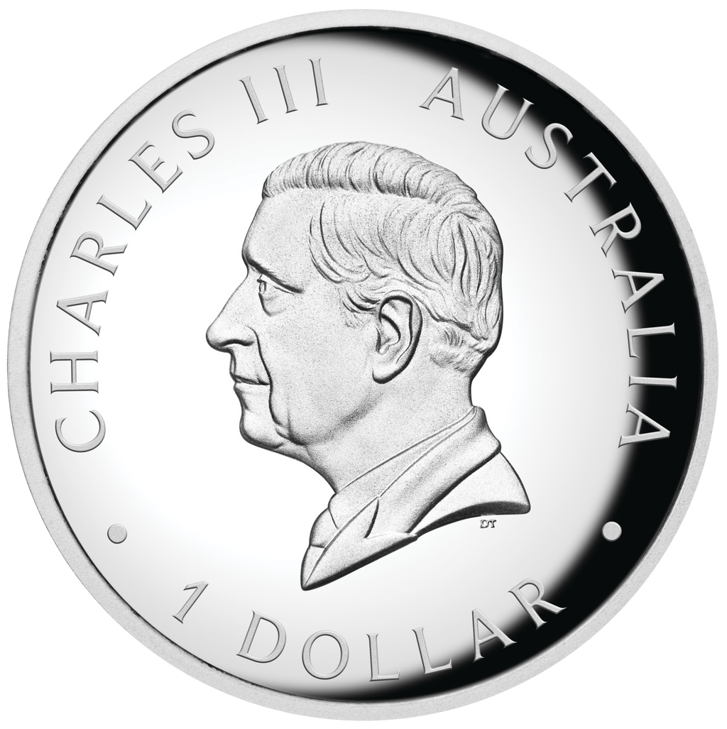2024 $1 Australian Kangaroo 1oz Silver Proof High Relief Coloured Coin