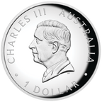 2024 $1 Australian Kangaroo 1oz Silver Proof High Relief Coloured Coin