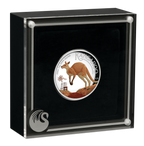 2024 $1 Australian Kangaroo 1oz Silver Proof High Relief Coloured Coin