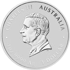 2025 Australian Quokka 1oz Silver Coloured Coin